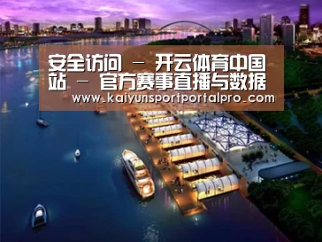 案例展示八