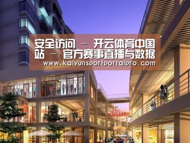 案例展示一