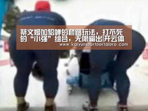 蔡文姬加貂蝉的套路玩法,打不死的“小强”组合,无限输出|开云体育官网(图2) 开云体育