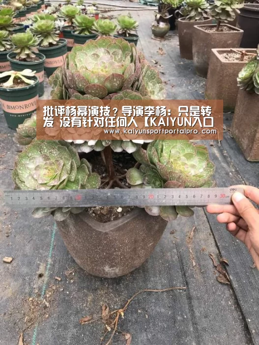 KAIYUN入口
