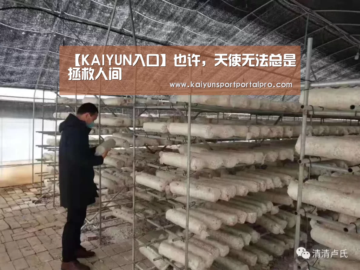 【KAIYUN入口】也许,天使无法总是拯救人间(图3) 开云体育