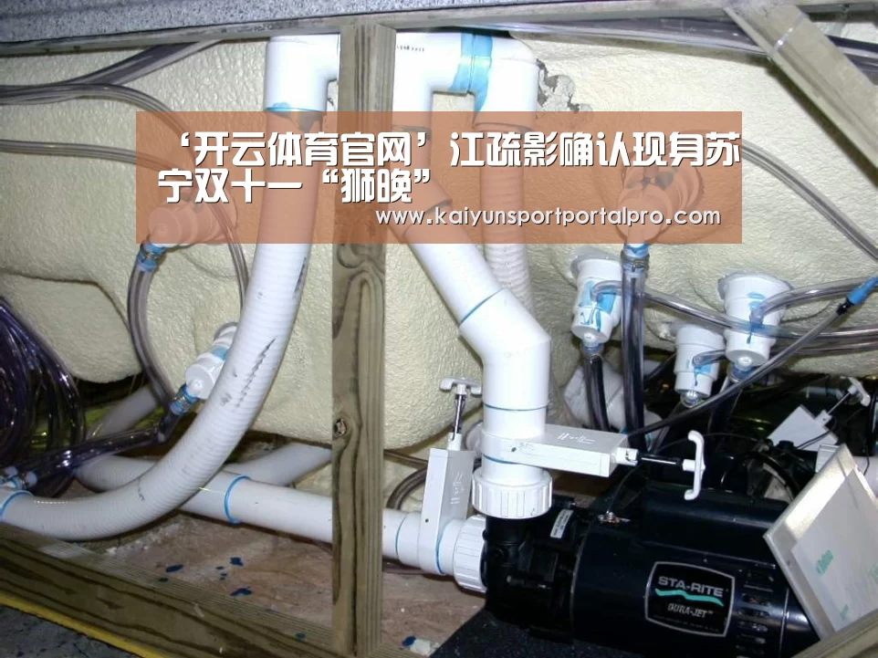 ‘开云体育官网’江疏影确认现身苏宁双十一“狮晚”(图4) 开云体育首页