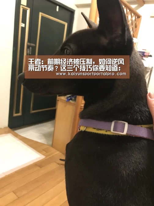 KAIYUN入口