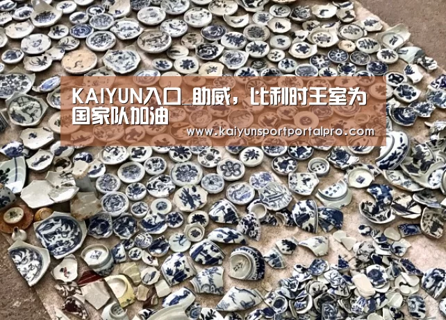 KAIYUN入口_助威,比利时王室为国家队加油(图3) KAIYUN入口