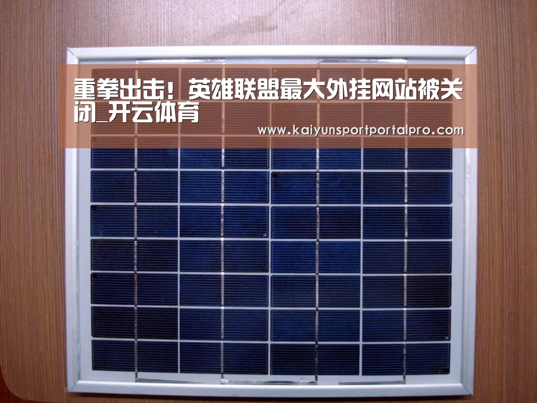 重拳出击!英雄联盟最大外挂网站被关闭_开云体育(图2) KAIYUN入口