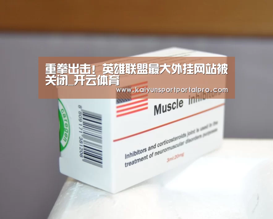 重拳出击!英雄联盟最大外挂网站被关闭_开云体育(图3) 开云体育首页