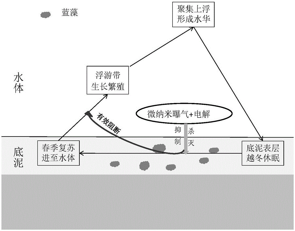 开云体育