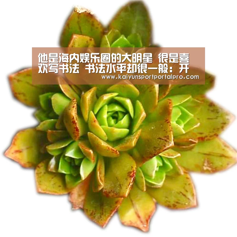 KAIYUN入口